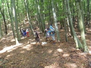 Fotogaléria Rok 2014