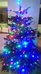 Fotogaléria rok 2017